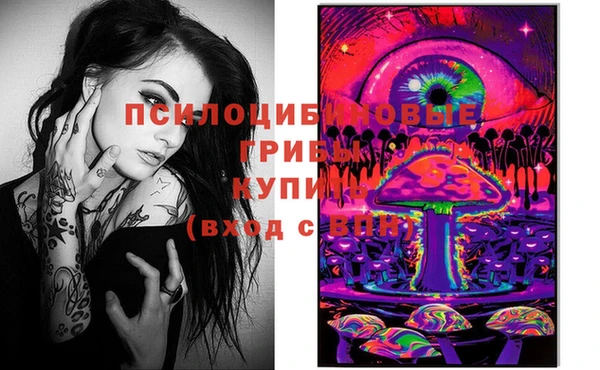 винт Армянск