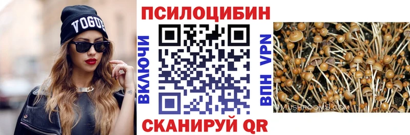 Псилоцибиновые грибы прущие грибы  где можно купить наркотик  Вихоревка 